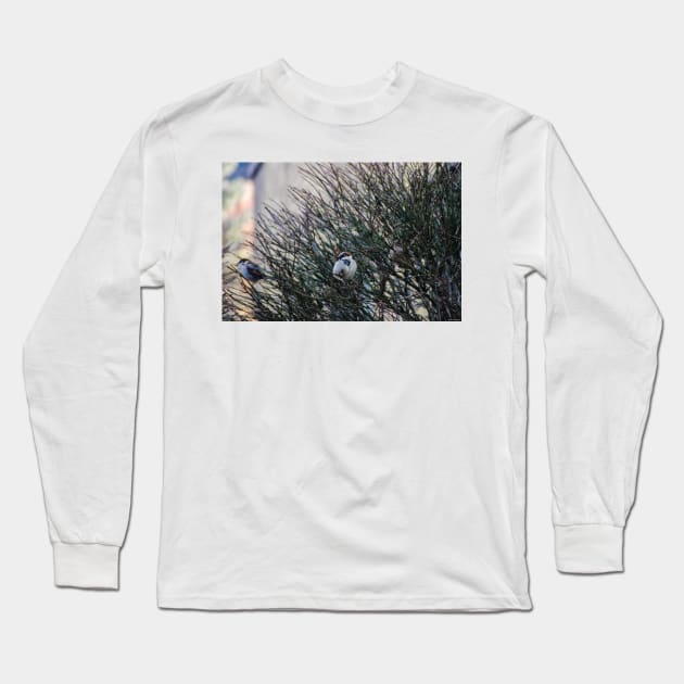 Puffing up for Winter Long Sleeve T-Shirt by srosu